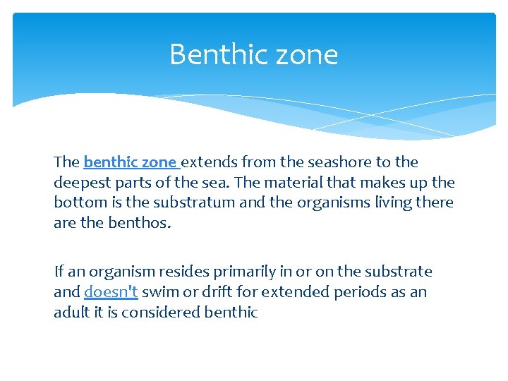 Benthic zone The benthic zone extends from the seashore to the deepest parts of