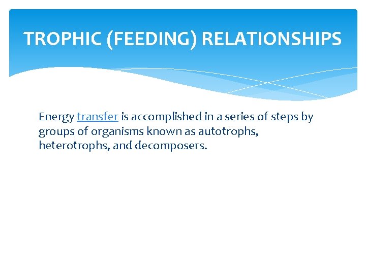 TROPHIC (FEEDING) RELATIONSHIPS Energy transfer is accomplished in a series of steps by groups