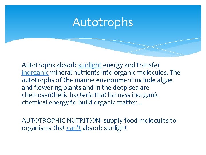 Autotrophs absorb sunlight energy and transfer inorganic mineral nutrients into organic molecules. The autotrophs