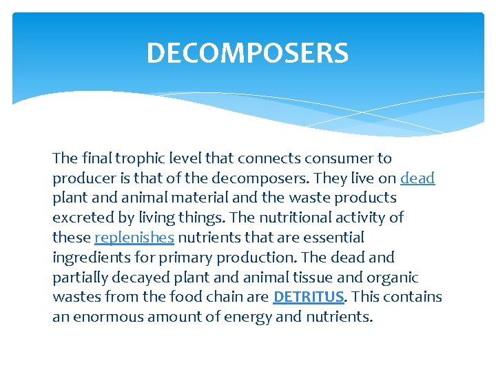 DECOMPOSERS The final trophic level that connects consumer to producer is that of the
