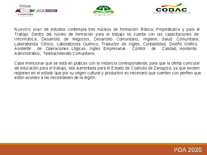 Nuestro plan de estudios contempla tres núcleos de formación: Básica, Propedéutica y para el