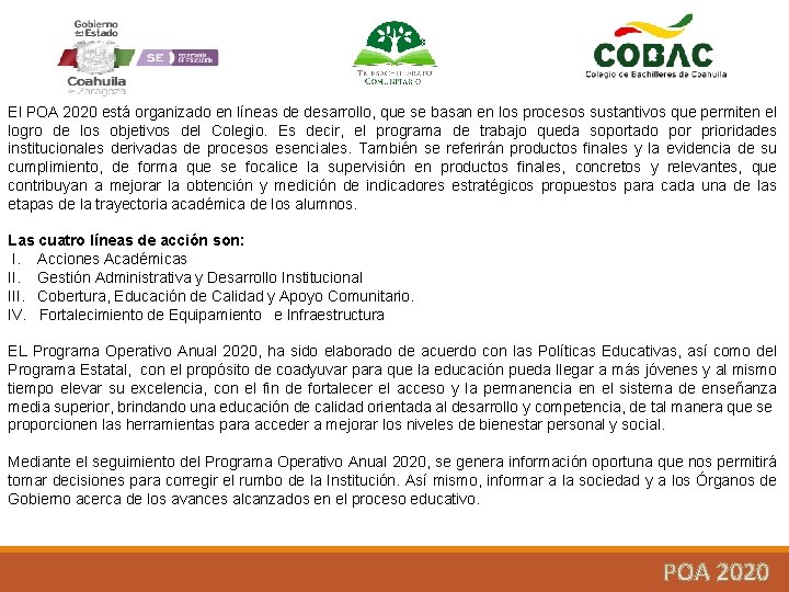 El POA 2020 está organizado en líneas de desarrollo, que se basan en los