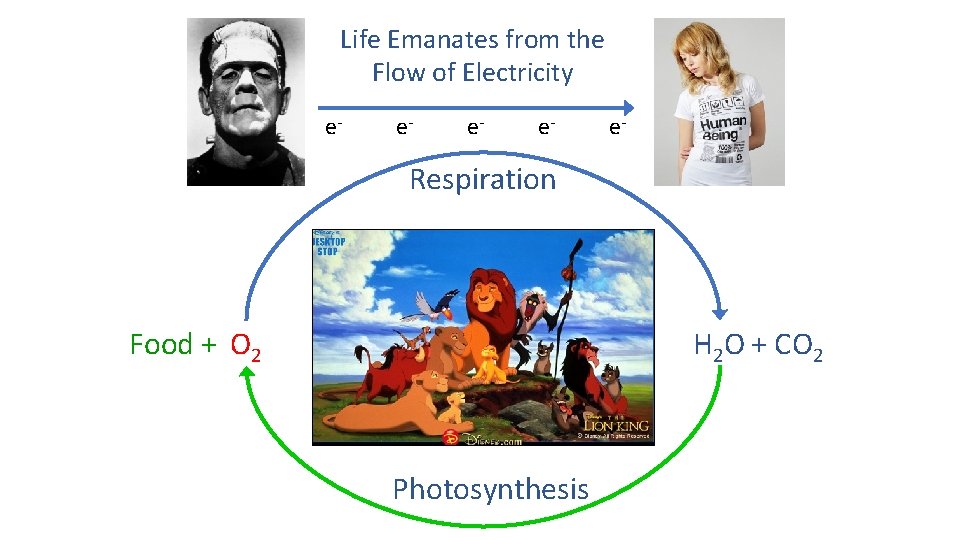 Life Emanates from the Flow of Electricity e- e- e- Respiration Food + O