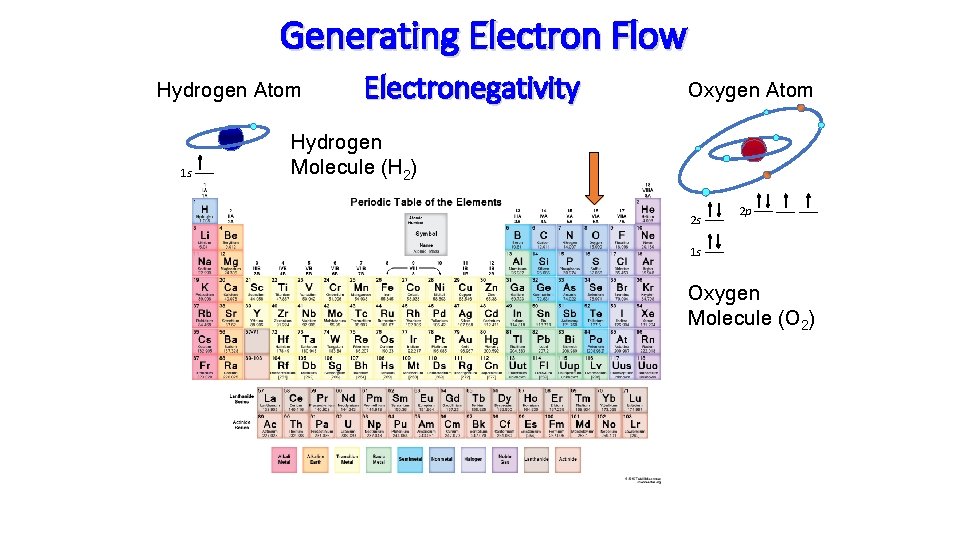 Generating Electron Flow Hydrogen Atom 1 s Electronegativity Oxygen Atom Hydrogen Molecule (H 2)