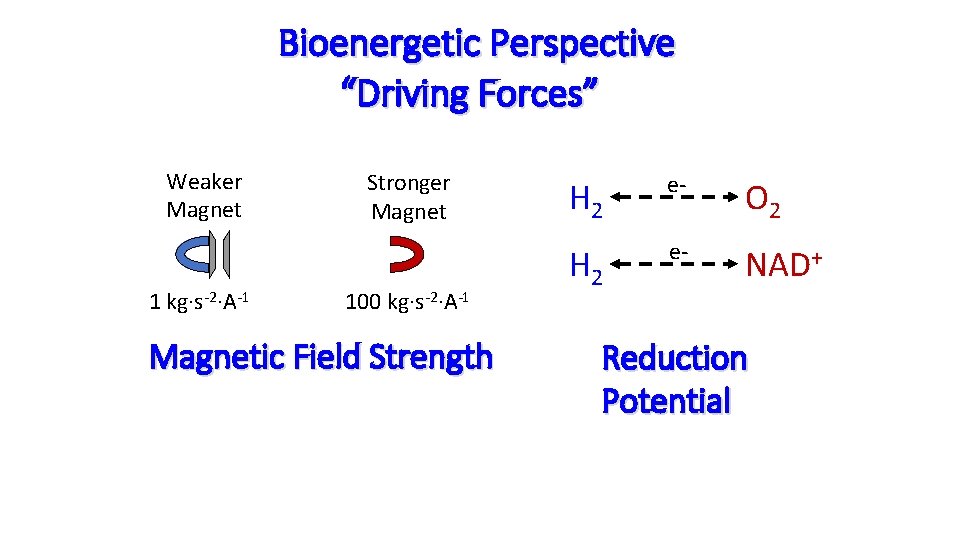 Bioenergetic Perspective “Driving Forces” Weaker Magnet 1 kg∙s-2∙A-1 Stronger Magnet 100 kg∙s-2∙A-1 Magnetic Field