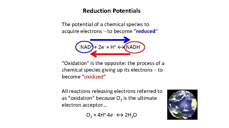 Reduction Potentials The potential of a chemical species to acquire electrons – to become