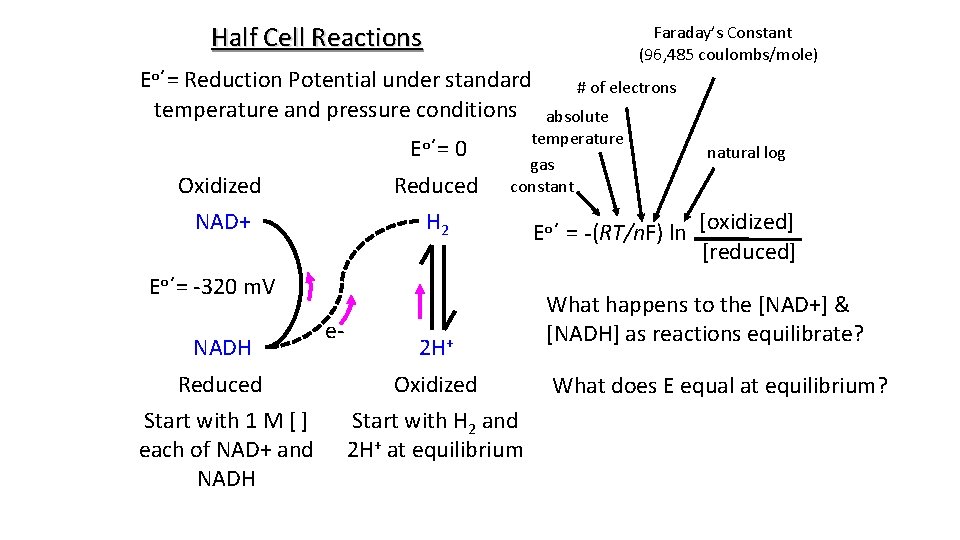 Half Cell Reactions Eo΄= Reduction Potential under standard temperature and pressure conditions Eo΄= 0