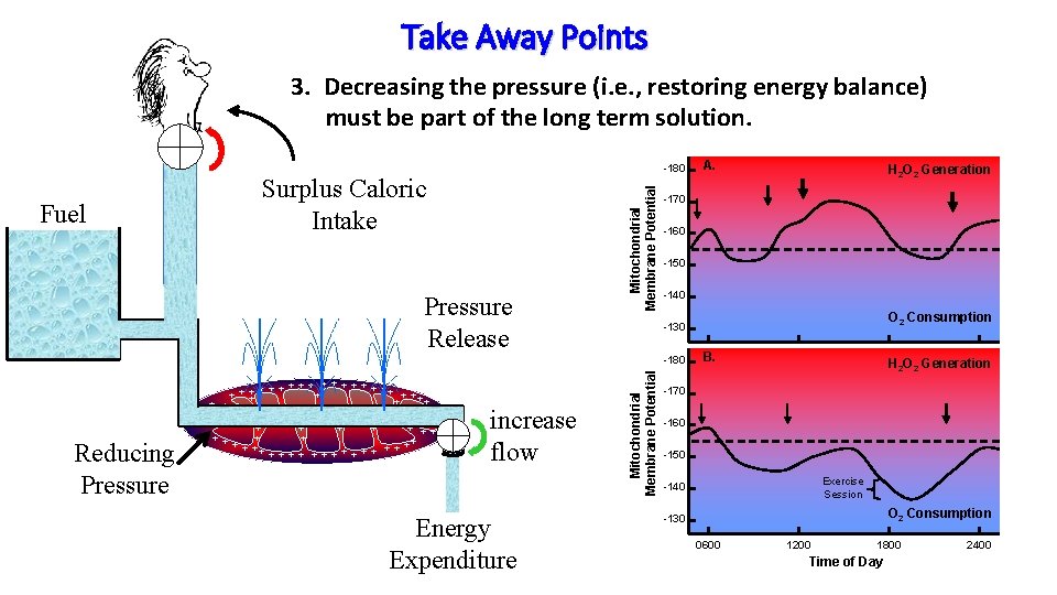 Take Away Points 3. Decreasing the pressure (i. e. , restoring energy balance) must