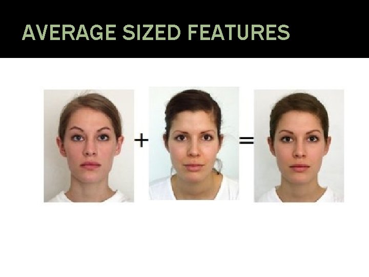 AVERAGE SIZED FEATURES 