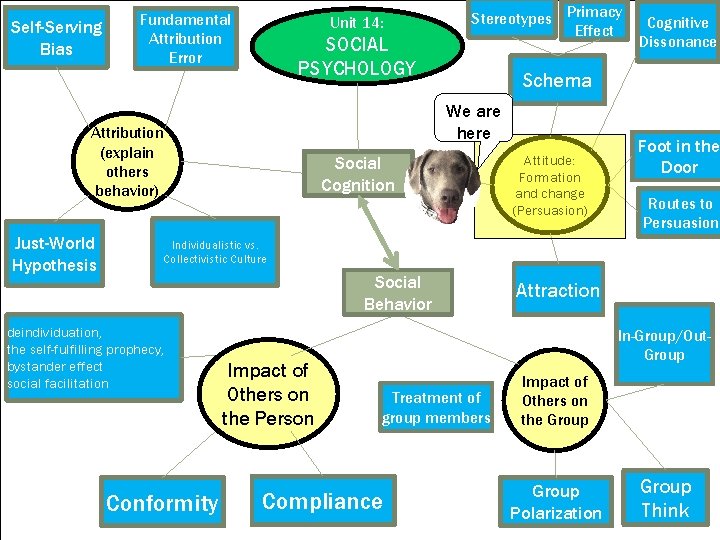 Self-Serving Bias Fundamental Attribution Error Unit 14: SOCIAL PSYCHOLOGY Cognitive Dissonance Schema We are