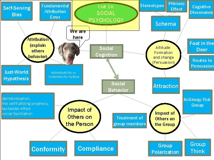 Self-Serving Bias Fundamental Attribution Error Attribution (explain others behavior) Just-World Hypothesis Unit 14: SOCIAL