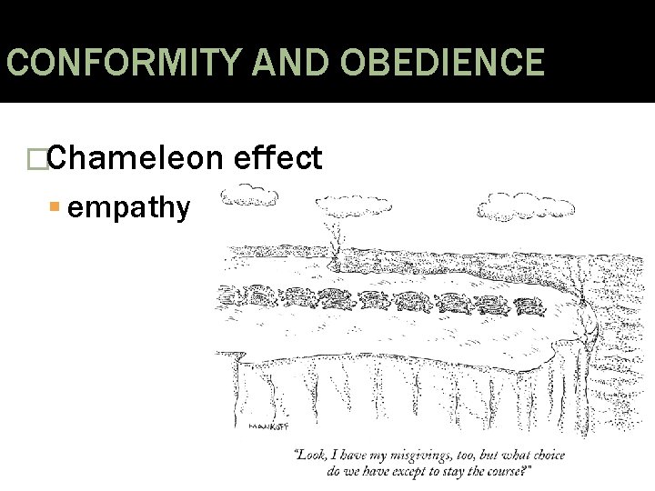 CONFORMITY AND OBEDIENCE �Chameleon empathy effect 