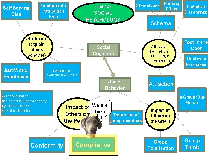 Self-Serving Bias Fundamental Attribution Error Unit 14: SOCIAL PSYCHOLOGY Attribution (explain others behavior) Just-World