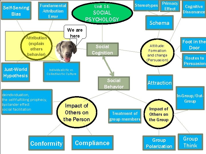 Self-Serving Bias Fundamental Attribution Error Attribution (explain others behavior) Just-World Hypothesis Unit 14: SOCIAL