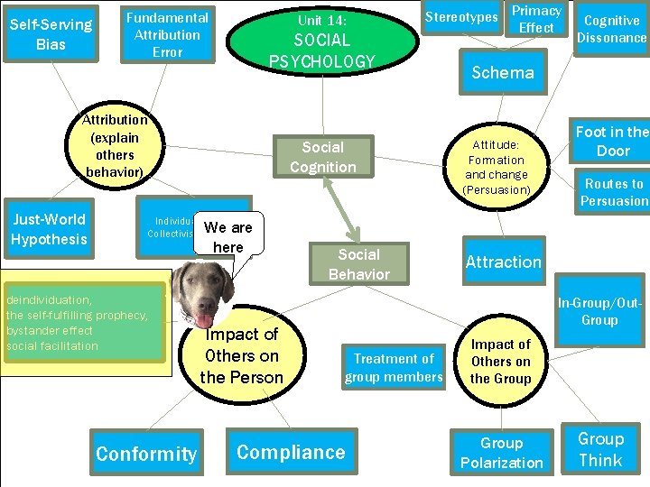 Self-Serving Bias Fundamental Attribution Error Unit 14: SOCIAL PSYCHOLOGY Attribution (explain others behavior) Just-World
