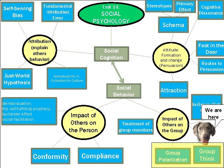 Self-Serving Bias Fundamental Attribution Error Unit 14: SOCIAL PSYCHOLOGY Attribution (explain others behavior) Just-World