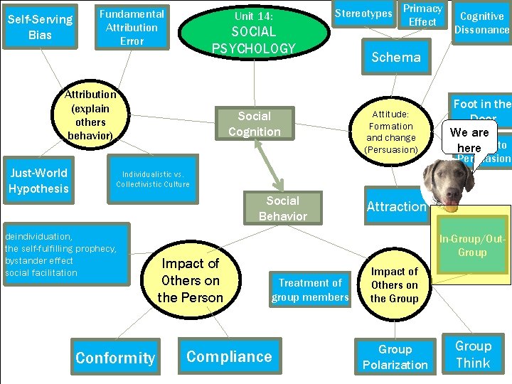 Self-Serving Bias Fundamental Attribution Error Unit 14: SOCIAL PSYCHOLOGY Attribution (explain others behavior) Just-World