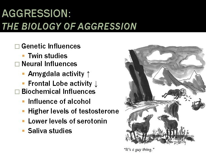 AGGRESSION: THE BIOLOGY OF AGGRESSION � Genetic Influences Twin studies � Neural Influences Amygdala