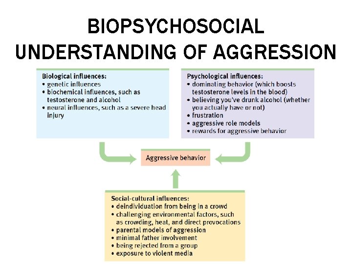 BIOPSYCHOSOCIAL UNDERSTANDING OF AGGRESSION 