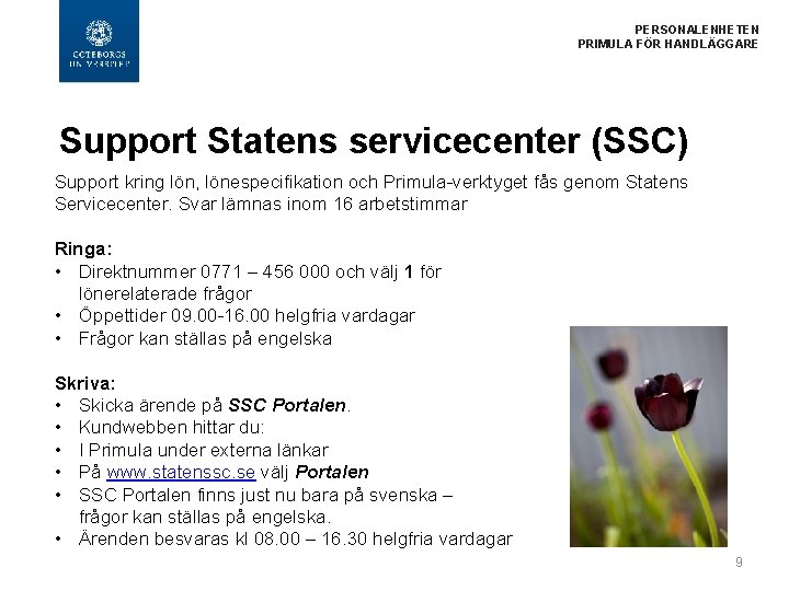 PERSONALENHETEN PRIMULA FÖR HANDLÄGGARE Support Statens servicecenter (SSC) Support kring lön, lönespecifikation och Primula-verktyget