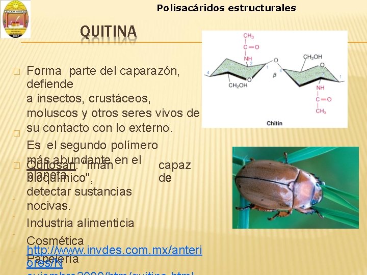 Polisacáridos estructurales QUITINA � � � - Forma parte del caparazón, defiende a insectos,