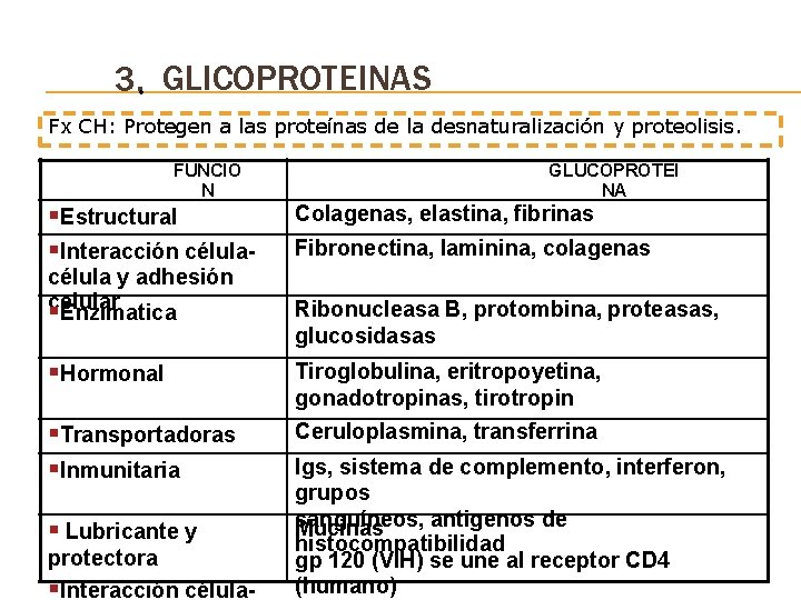 3. • GLICOPROTEINAS Fx CH: Protegen a las proteínas de la desnaturalización y proteolisis.