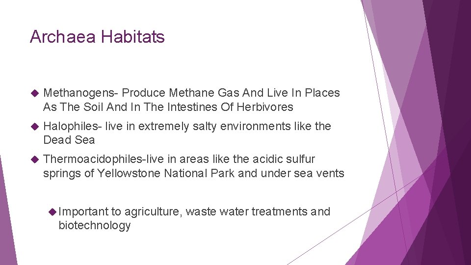 Archaea Habitats Methanogens- Produce Methane Gas And Live In Places As The Soil And