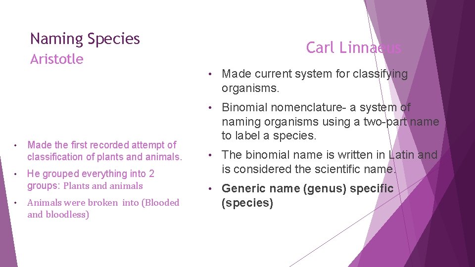 Naming Species Carl Linnaeus Aristotle • Made current system for classifying organisms. • Binomial