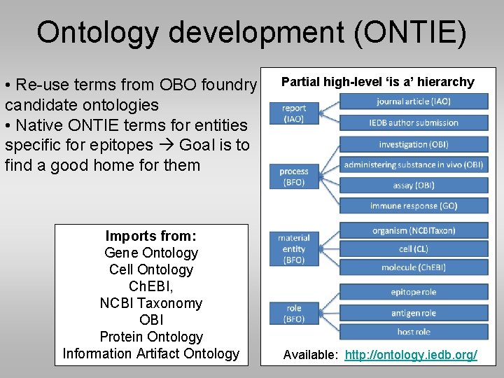 Ontology development (ONTIE) • Re-use terms from OBO foundry candidate ontologies • Native ONTIE