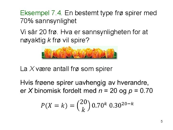 Eksempel 7. 4. En bestemt type frø spirer med 70% sannsynlighet Vi sår 20