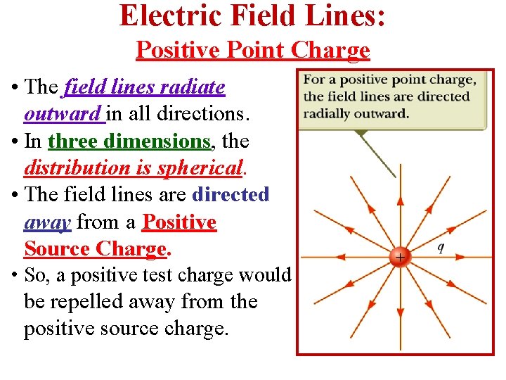 Electric Field Lines: Positive Point Charge • The field lines radiate outward in all