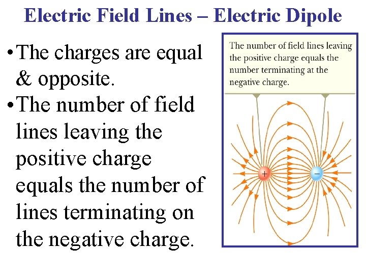 Electric Field Lines – Electric Dipole • The charges are equal & opposite. •