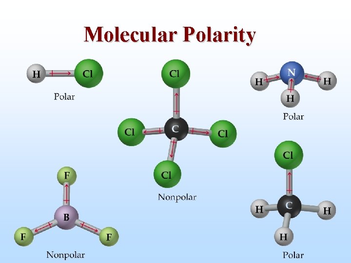 Molecular Polarity 