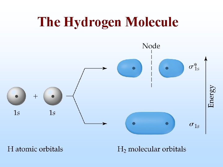 The Hydrogen Molecule 