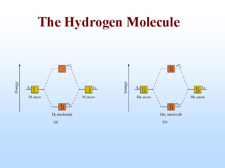 The Hydrogen Molecule 