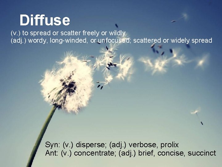 Diffuse (v. ) to spread or scatter freely or wildly (adj. ) wordy, long-winded,