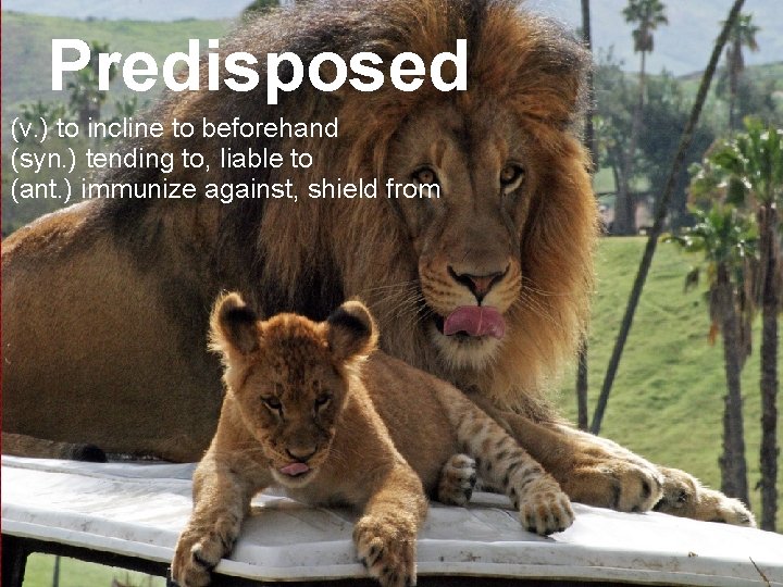 Predisposed (v. ) to incline to beforehand (syn. ) tending to, liable to (ant.