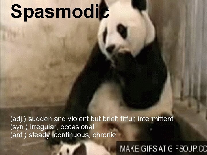 Spasmodic (adj. ) sudden and violent but brief; fitful; intermittent (syn. ) irregular, occasional
