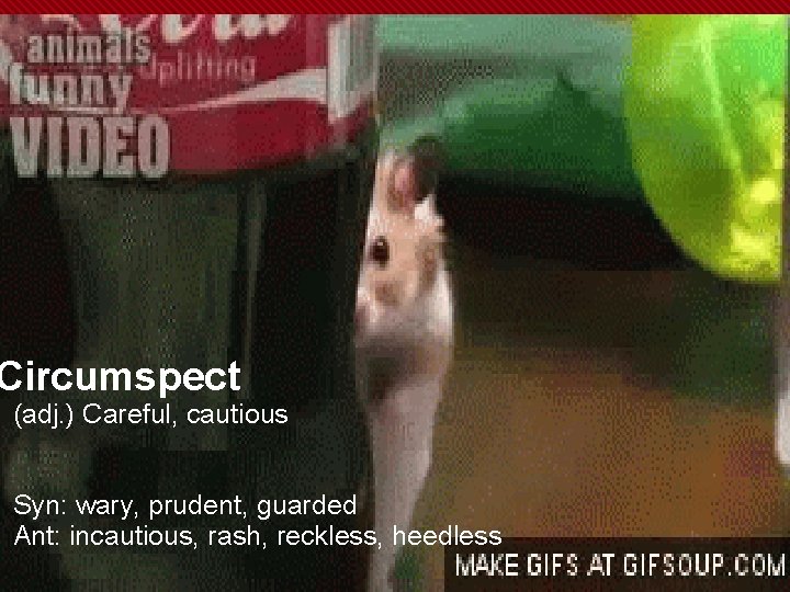 Circumspect (adj. ) Careful, cautious Syn: wary, prudent, guarded Ant: incautious, rash, reckless, heedless
