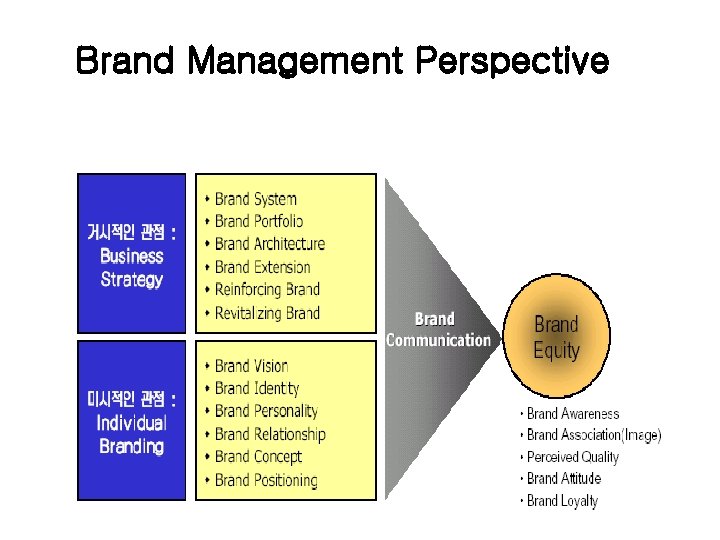 Brand Management Perspective 