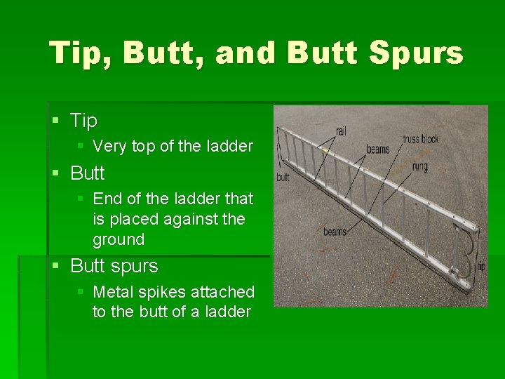 Tip, Butt, and Butt Spurs § Tip § Very top of the ladder §