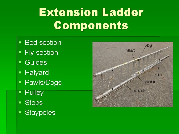 Extension Ladder Components § § § § Bed section Fly section Guides Halyard Pawls/Dogs