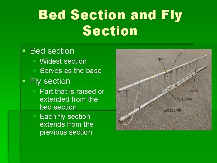 Bed Section and Fly Section § Bed section § Widest section § Serves as