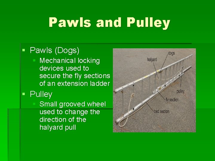Pawls and Pulley § Pawls (Dogs) § Mechanical locking devices used to secure the