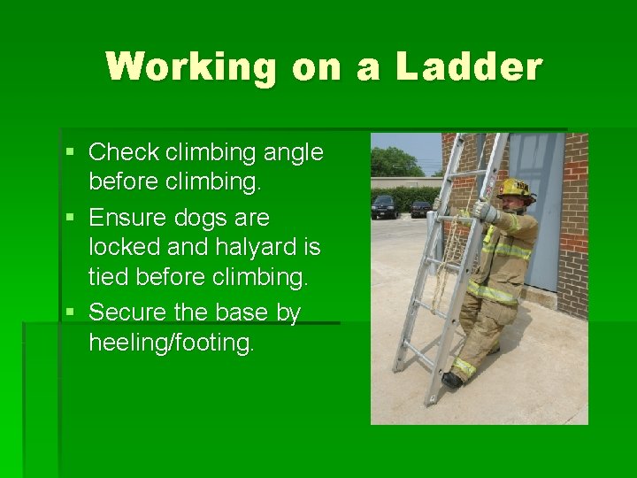 Working on a Ladder § Check climbing angle before climbing. § Ensure dogs are