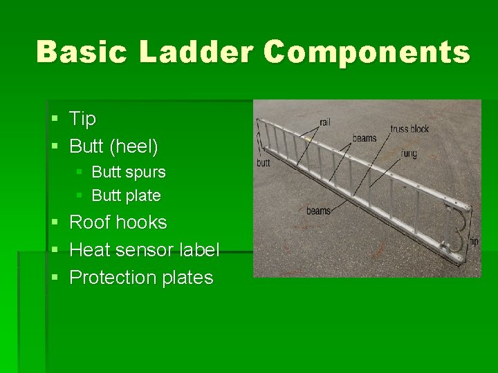 Basic Ladder Components § Tip § Butt (heel) § Butt spurs § Butt plate