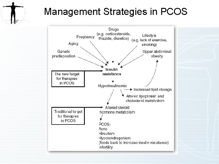 Management Strategies in PCOS 