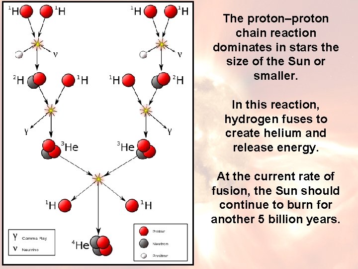 The proton–proton chain reaction dominates in stars the size of the Sun or smaller.