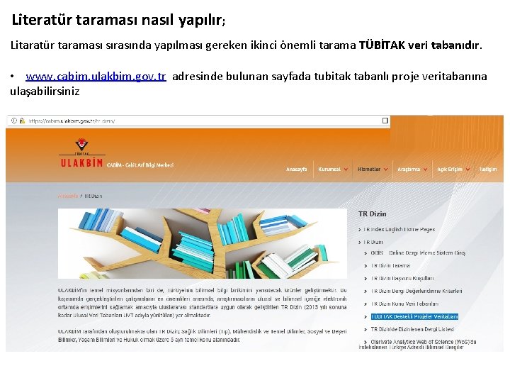 Literatür taraması nasıl yapılır; Litaratür taraması sırasında yapılması gereken ikinci önemli tarama TÜBİTAK veri