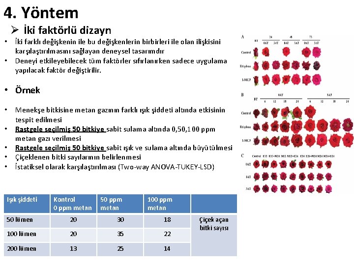 4. Yöntem • • Ø İki faktörlü dizayn İki farklı değişkenin ile bu değişkenlerin